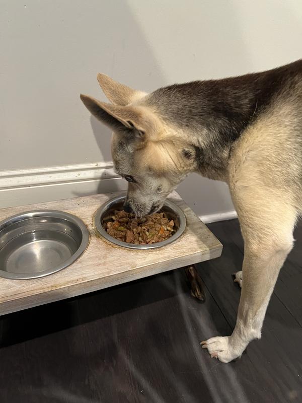 Nomnomnomgoodstuffnomnom