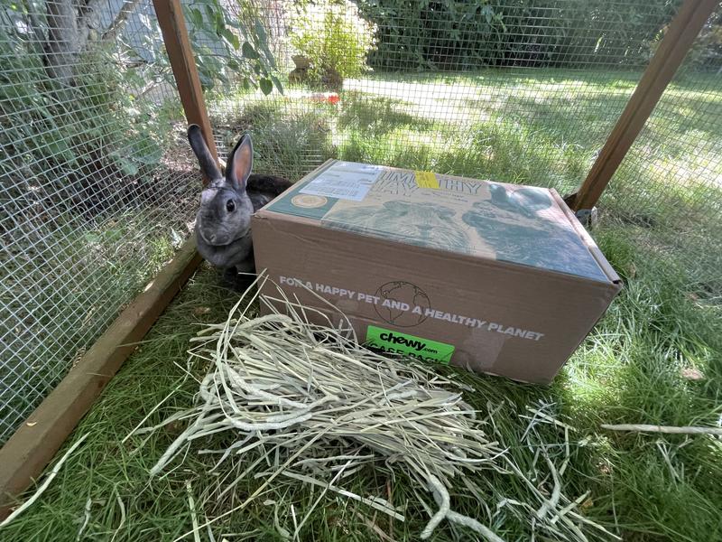 We set the box in there for size reference, it’s a good amount of hay! Also look at the soft seed heads.. the rabbits love it!