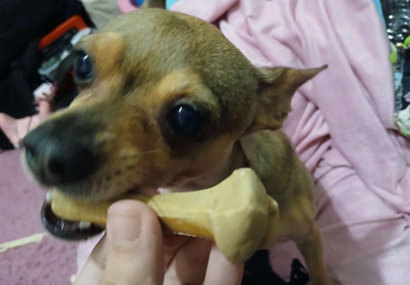 Was trying to have her just staring at it but alas, she robbed me 😔 was saved because she had one before this!