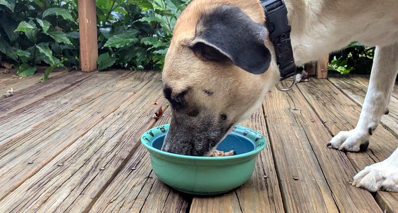 Cebu loves the taste!