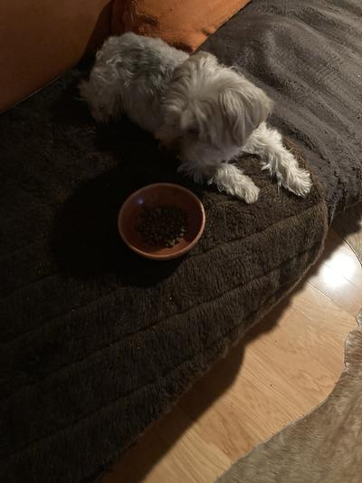 Even when only scant amout added to good won’t est