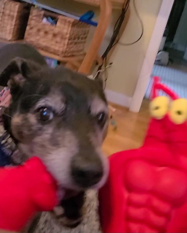 Larry looks terrified!