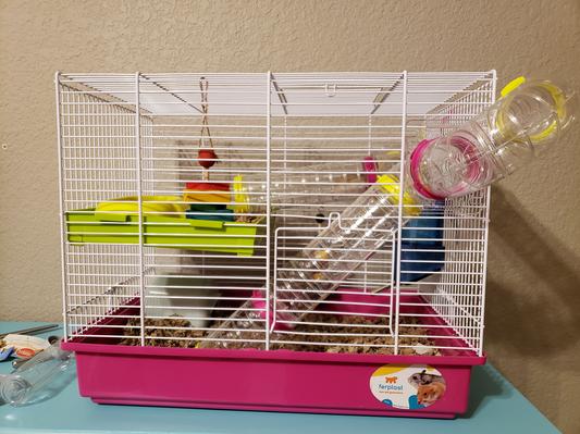 Ferplast laura syrian hamster cage best sale