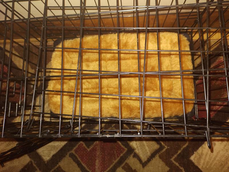 MIDWEST Quiet Time Fleece Dog Crate Mat, Gray, 42in