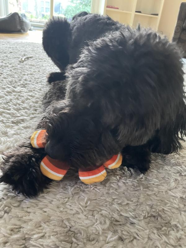 The ball seemed a little small for her mouth, but she still loves it.