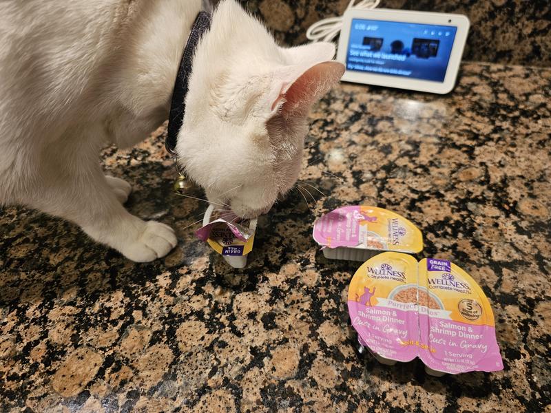 My cat could easily eat 2 or 3 serving sizes