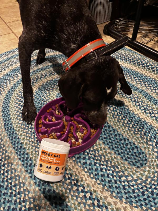 This movin’ GSP can always use some extra cals!