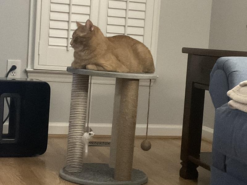 Pancho finally gets his turn.