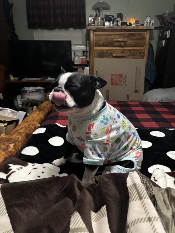 He just finished eating one of these, and now he’s ready for bed.!!