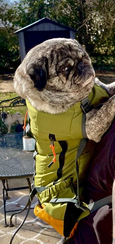 K9 SPORT SACK Urban Leaf Dog Carrier, Green, Medium