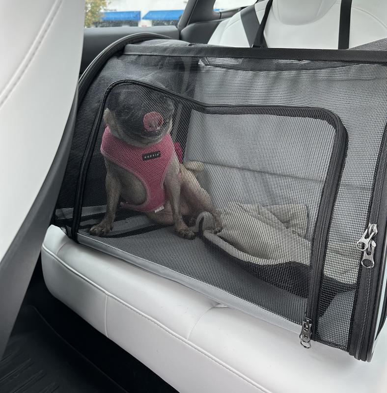 Frisco Travel Safety Dog & Cat Carrier
