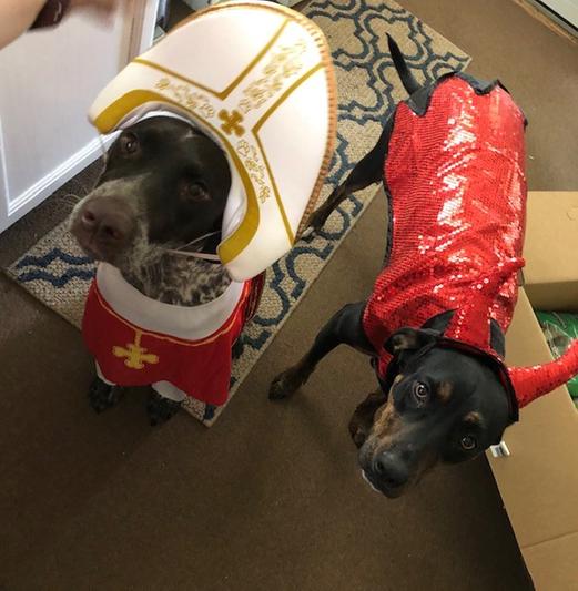 ZACK & ZOEY Sequin Devil Dog Costume, Small