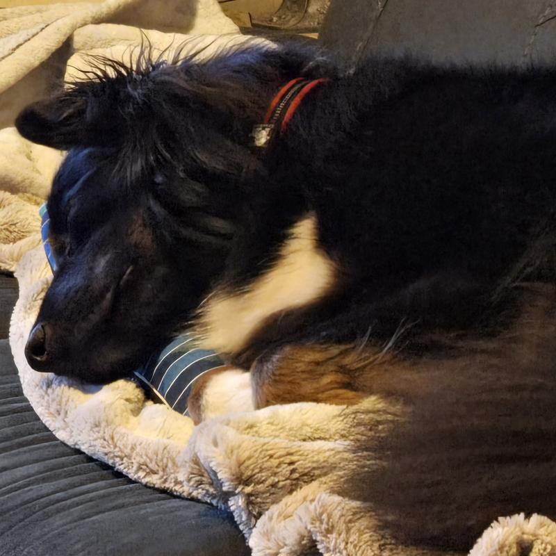 I'm pretty sure that he approves of it