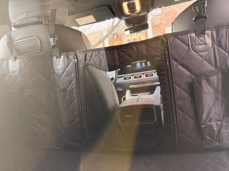 View through the mesh window