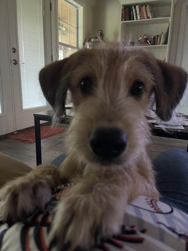 My furbaby