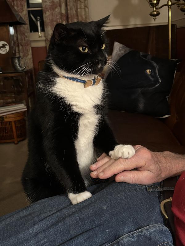 Everything is gonna be ok