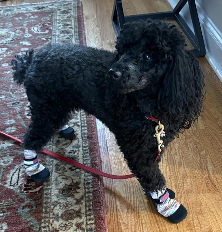 Now she needs a bag to match!