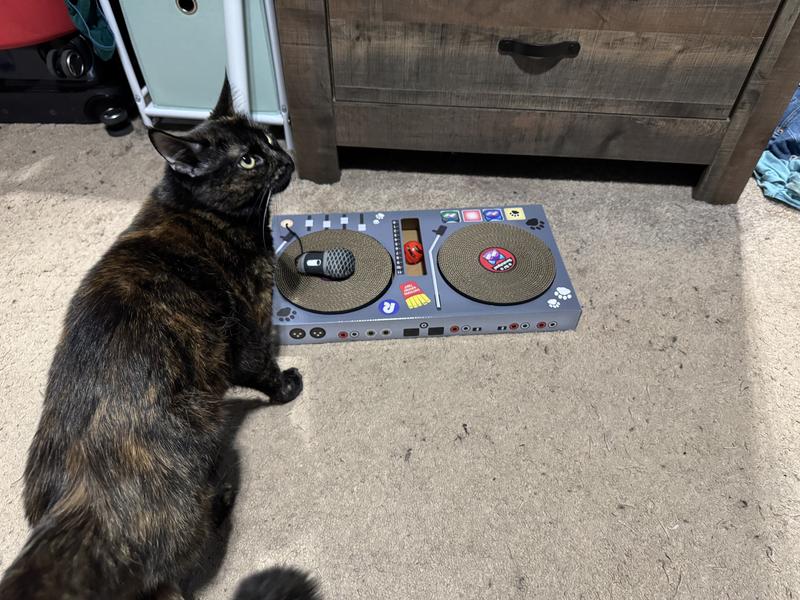 DJ Rosie, dropping the hottest claw-sics of 2025.