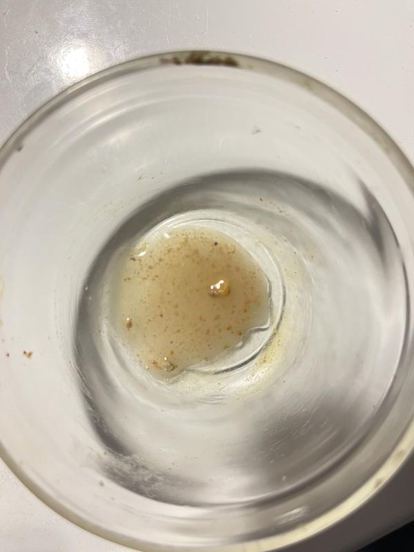 Excess oil drained from Hills Hairbal & Metabolic cat food