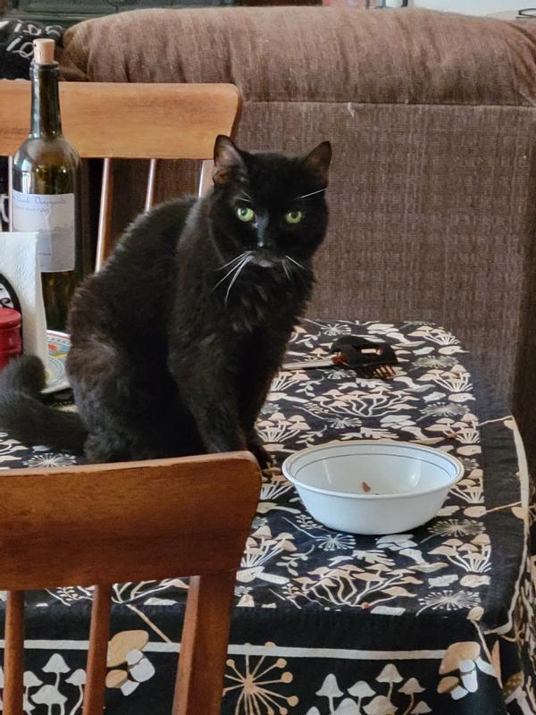 Lulu ... age 20 ... satisfied customer