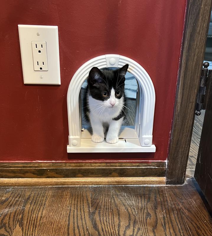 Trying out the door for the first time.