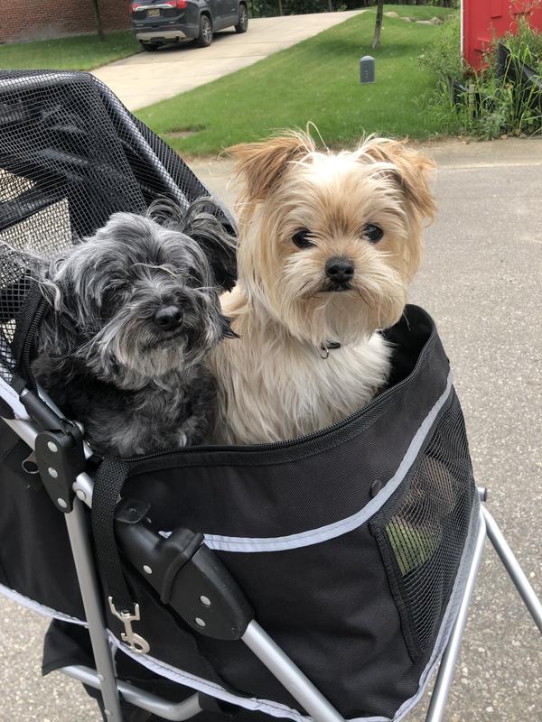 open uppababy vista stroller UPPAbaby VISTA V2 Stroller, Declan (Oat Melange), 2023