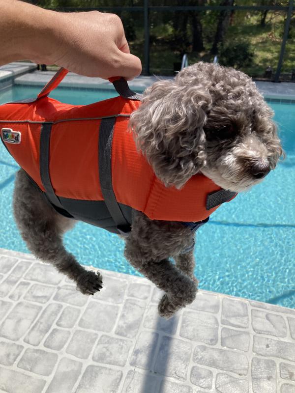 Outward Hound Granby Splash Dog Life Jacket - Monroe, MI - Scally Waggs Pet  Supplies