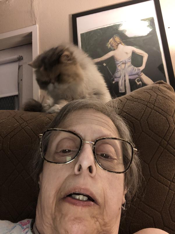 Always near me. Purrfect