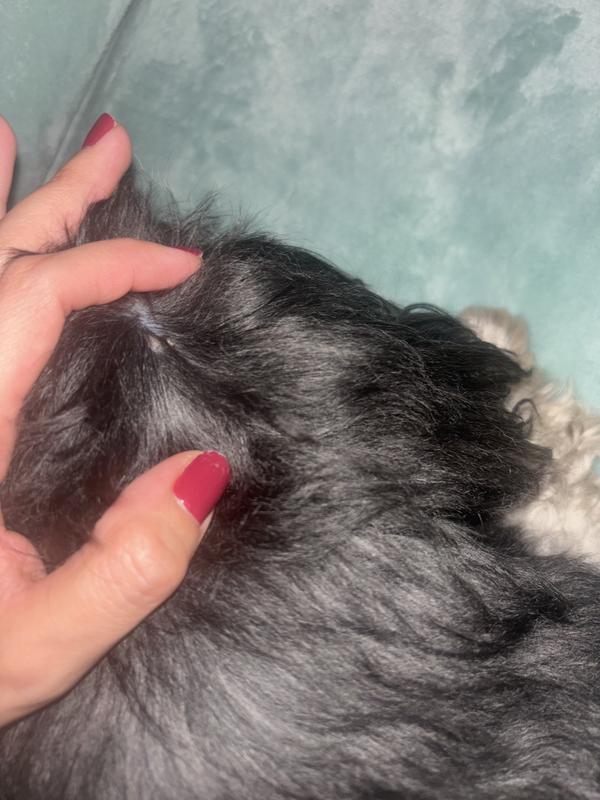 After using vitamins