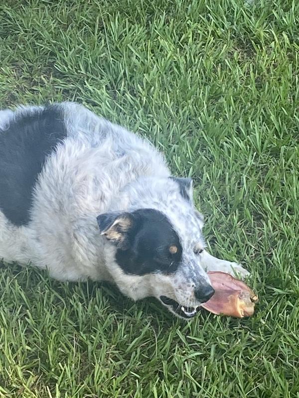 I love these pig ears!