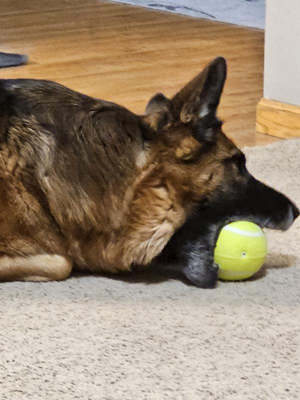 Gotta make it squeak!