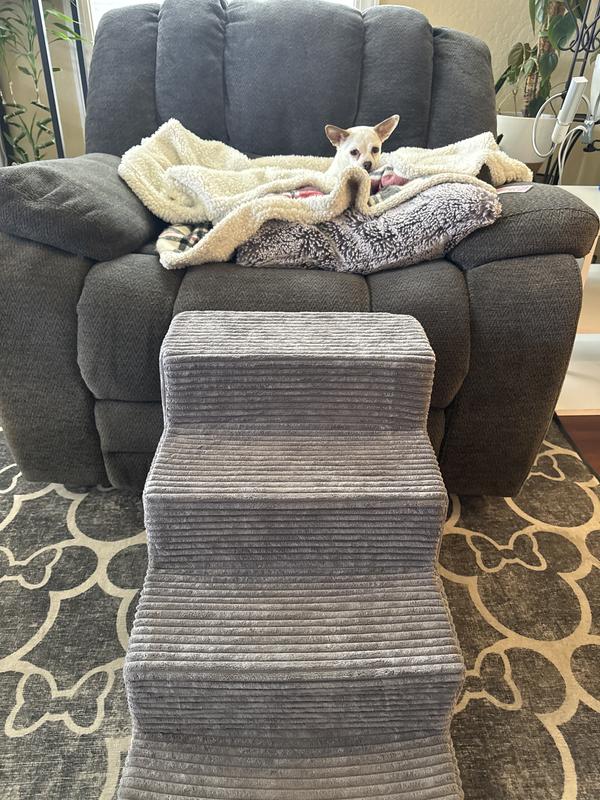 5lb chihuahua sitting in her recliner with her new stairs