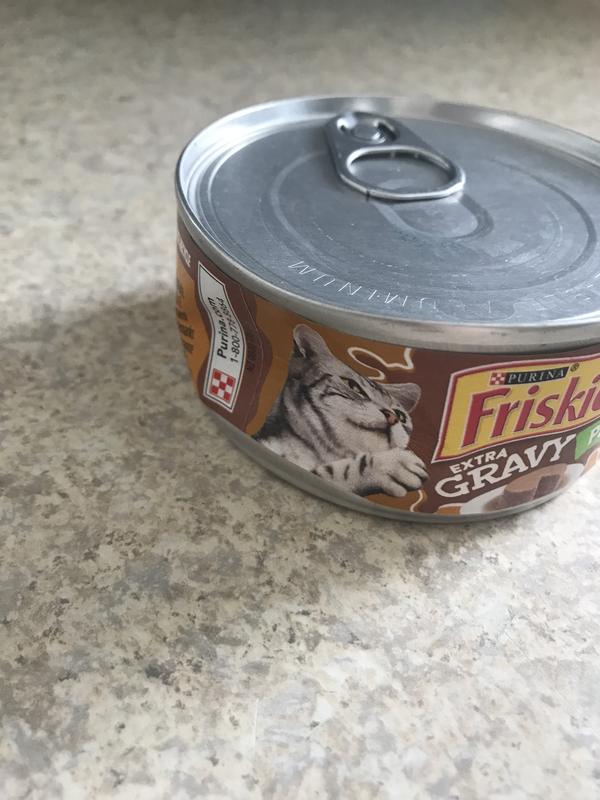 Friskies extra gravy pate best sale cat food