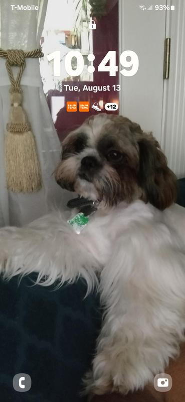 I am the Master in this house.