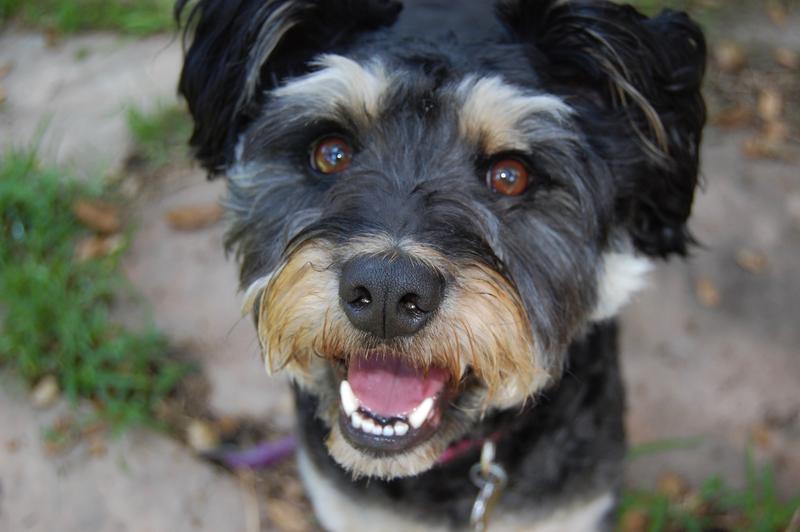 Happy Girlie!