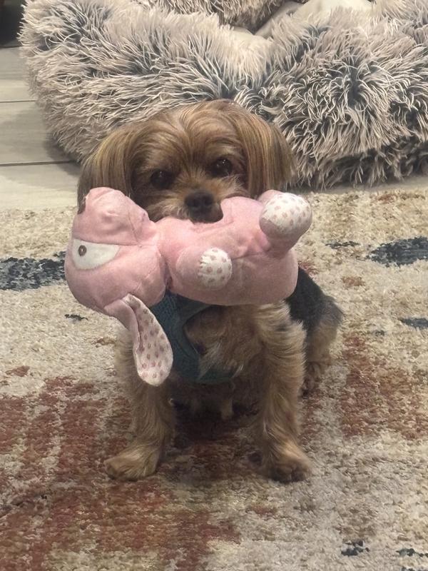 My little sweet boy with his love.