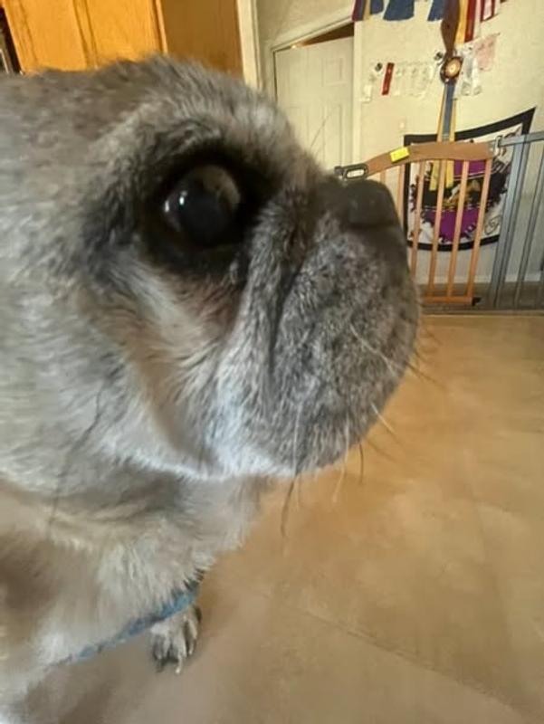 After the ditch adventure and in need of a SPA treatment