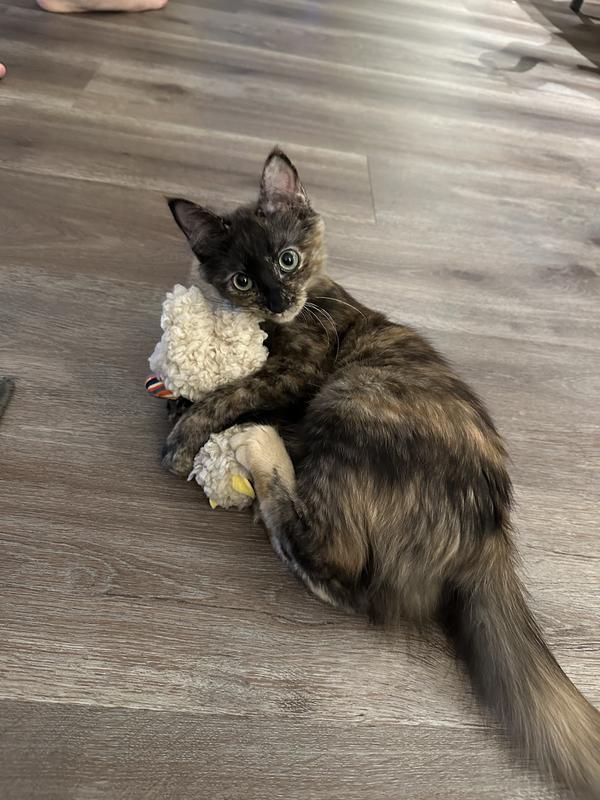 Love at first sight.