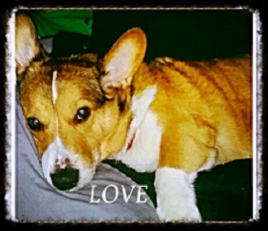 Oliver