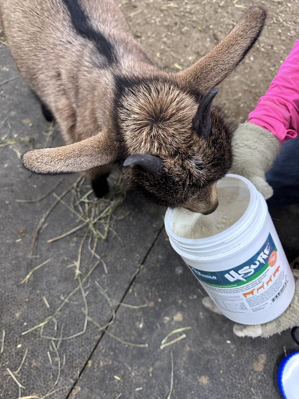 Hope loves the taste.