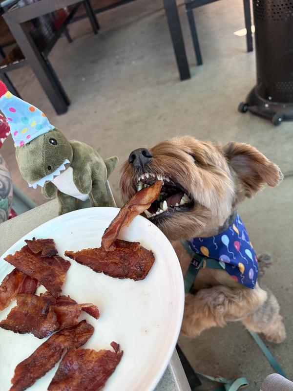 Gimme that bacon