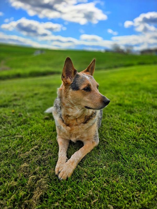 Eleanor enjoying the day <3