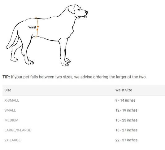 Is 27 Inches a Small Waist? See The Statistics