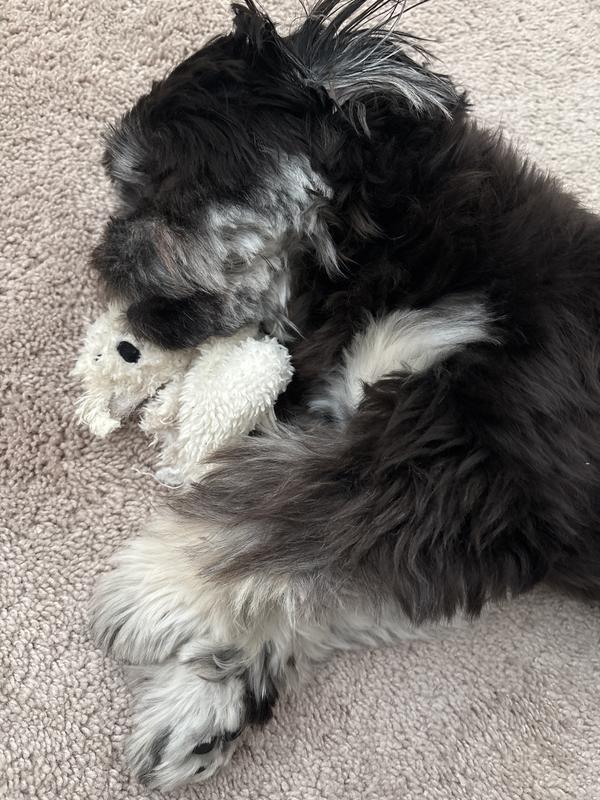 Thanks Mandy! - little brother, max