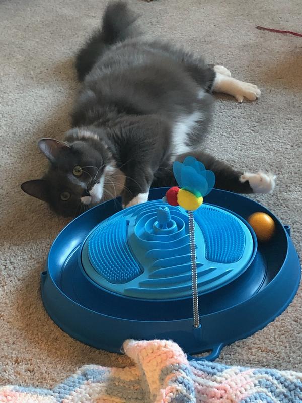 They LOVE it!