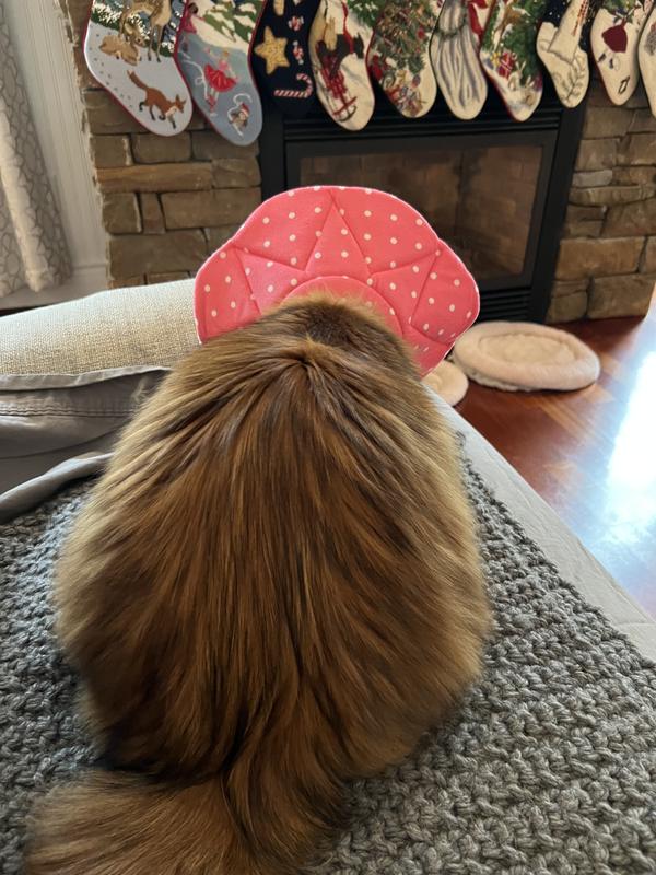 SUNGROW PostSurgery Soft Cone Dog & Cat Recovery Collar, Pink, Medium