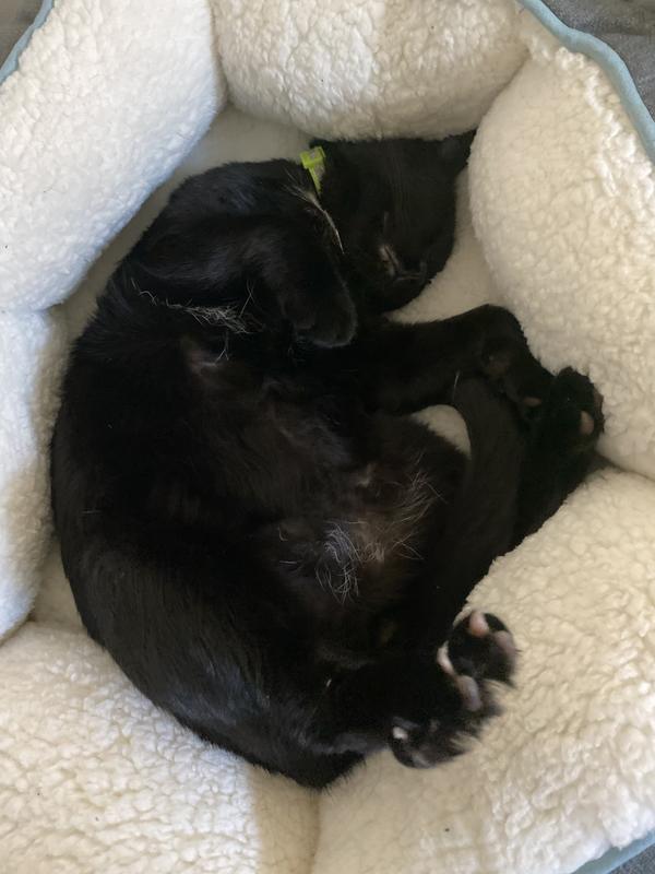 When the bed was new, in 2021