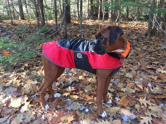 ULTRA PAWS Fleece Lined Reflective Comfort Coat for Dogs reviews
