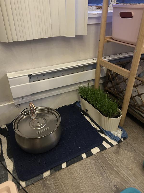 How it looks running, the cats like it