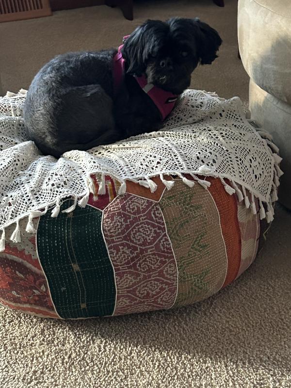 Madison thinking how great Chewy is.